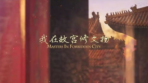 北京中联传媒影视节目制作专题纪录片拍摄解决方案